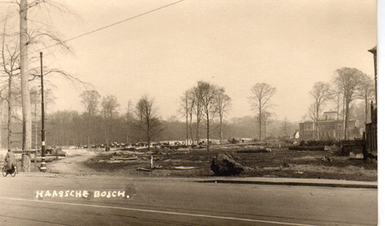Haagse Bos na de oorlog