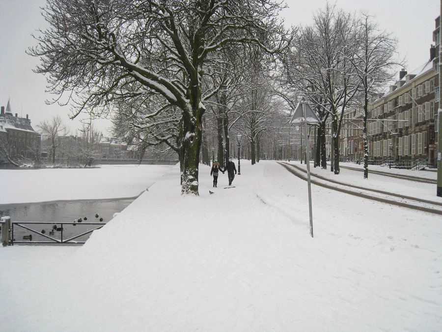 Lange Vijverberg met sneeuw, Den Haag