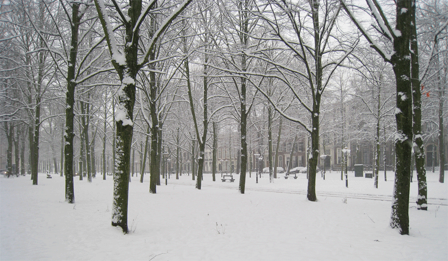 Lange Voorhout met sneeuw, Den Haag