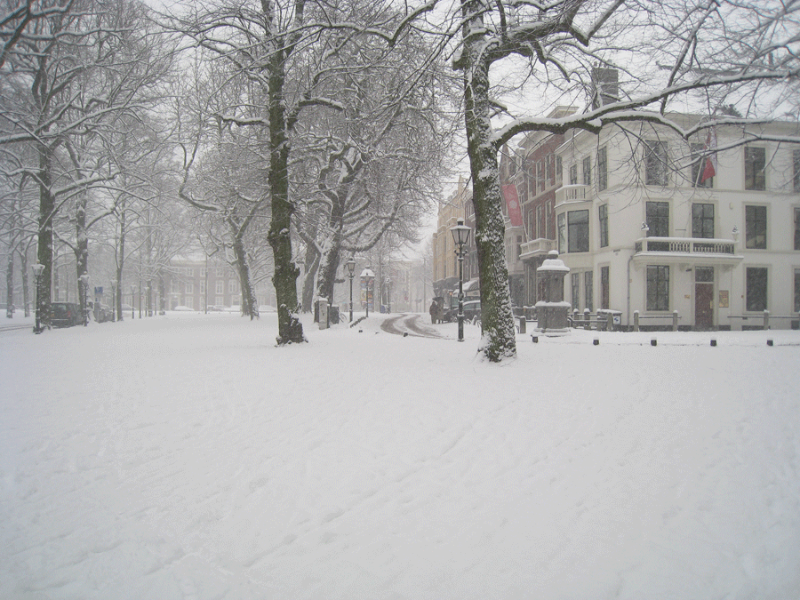 Lange Voorhout met sneeuw, Den Haag