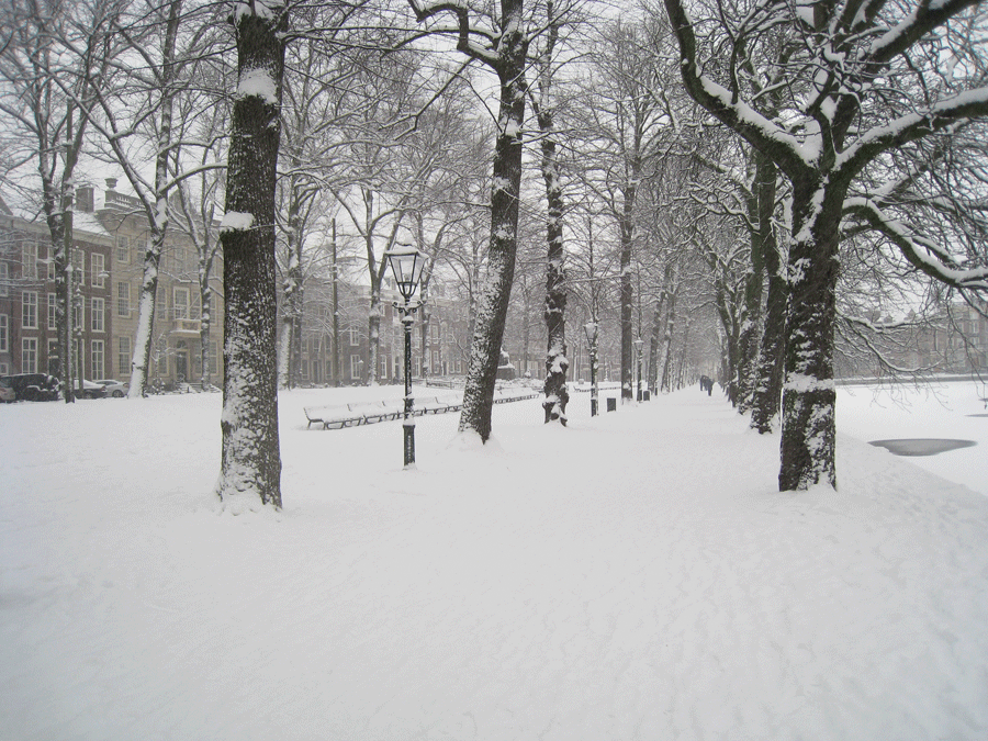 Lange Vijverberg in de sneeuw, Den Haag