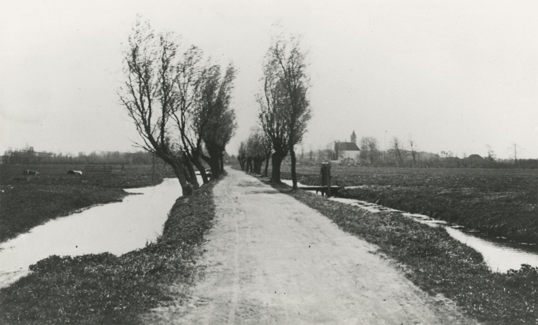 Binckhorstlaan in 1904